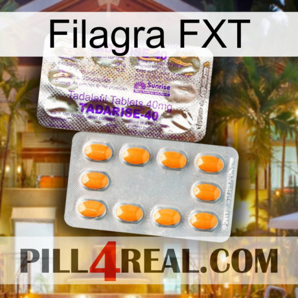 Filagra FXT new12.jpg